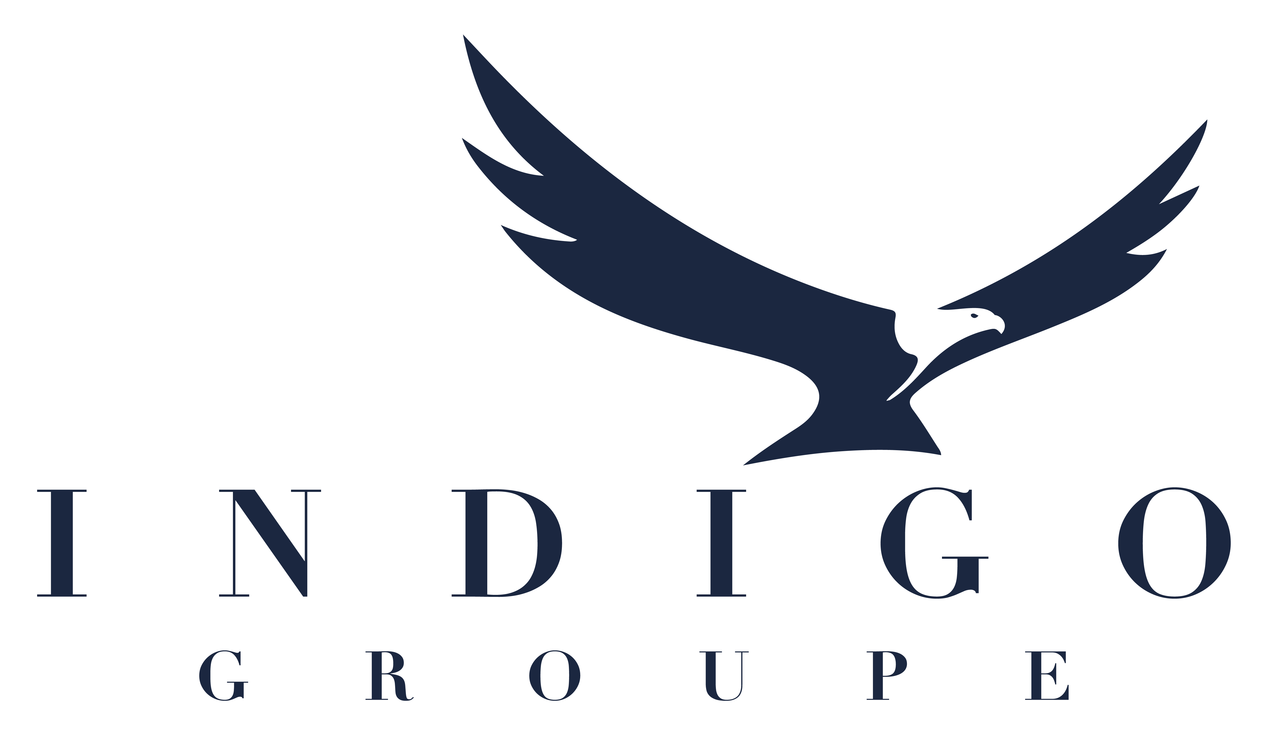 logo_INDIGO Groupe-01'_Plan de travail 1